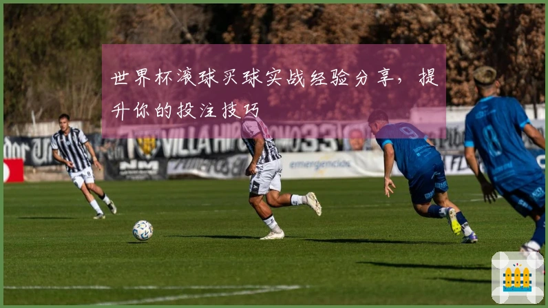 世界杯滚球买球实战经验分享，提升你的投注技巧