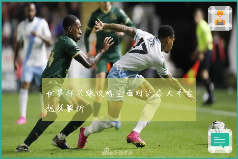 世界杯买球攻略全面对比各大平台优劣解析