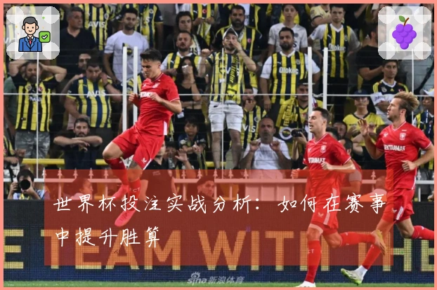 世界杯投注实战分析：如何在赛事中提升胜算