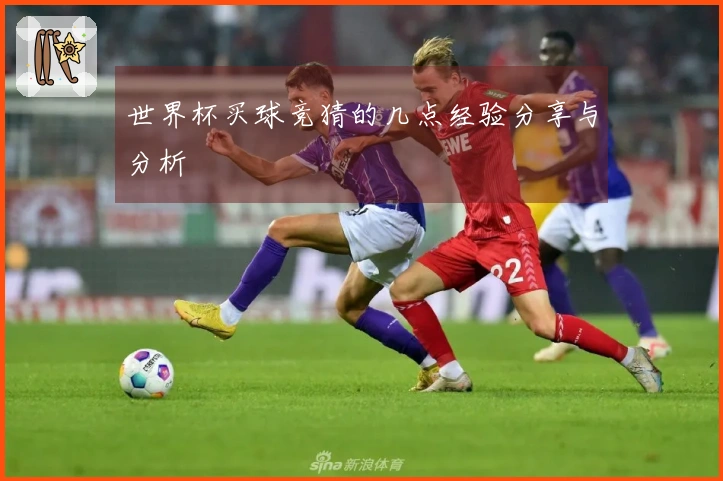 世界杯买球竞猜的几点经验分享与分析