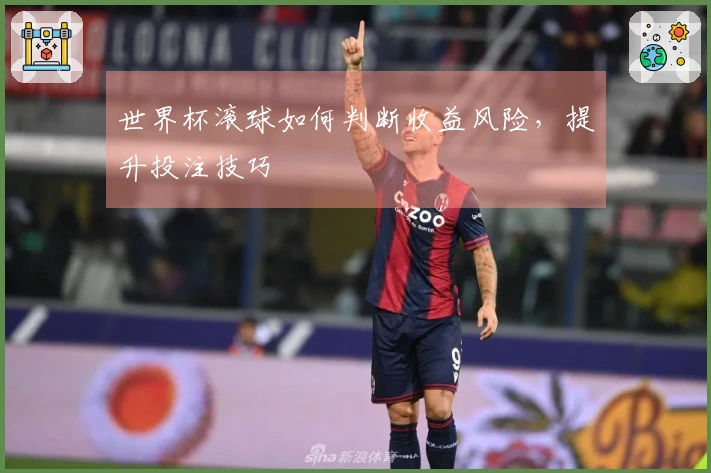 世界杯滚球如何判断收益风险，提升投注技巧