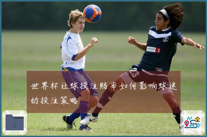世界杯让球投注赔率如何影响球迷的投注策略
