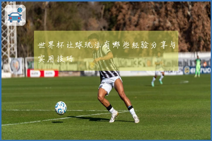 世界杯让球玩法有哪些经验分享与实用技巧