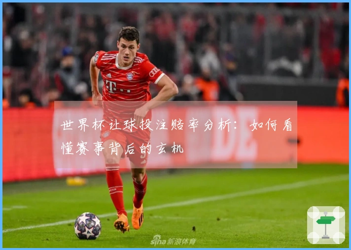 世界杯让球投注赔率分析：如何看懂赛事背后的玄机