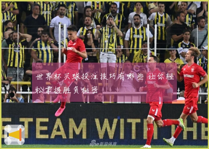 世界杯买球投注技巧有哪些 让你轻松掌握胜负秘密