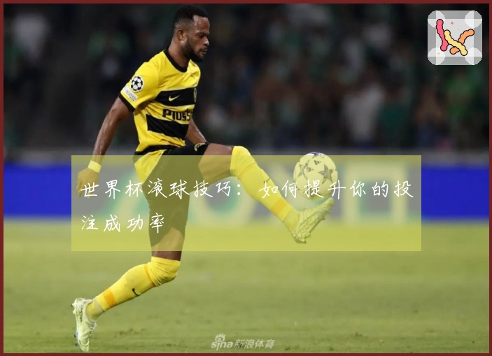 世界杯滚球技巧：如何提升你的投注成功率