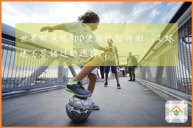 世界杯滚球App使用体验评测，足球迷不容错过的选择