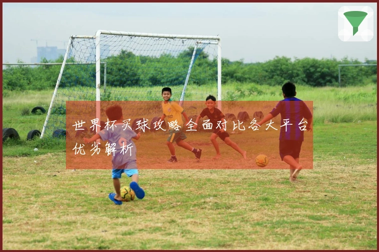 世界杯买球攻略全面对比各大平台优劣解析