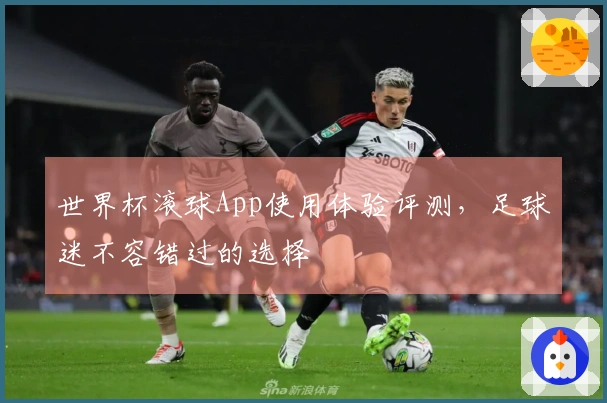 世界杯滚球App使用体验评测，足球迷不容错过的选择