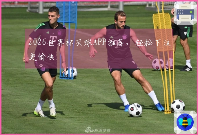 2026世界杯买球APP推荐，轻松下注更愉快