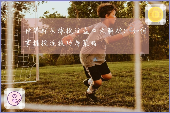 世界杯买球投注盘口大解析：如何掌握投注技巧与策略