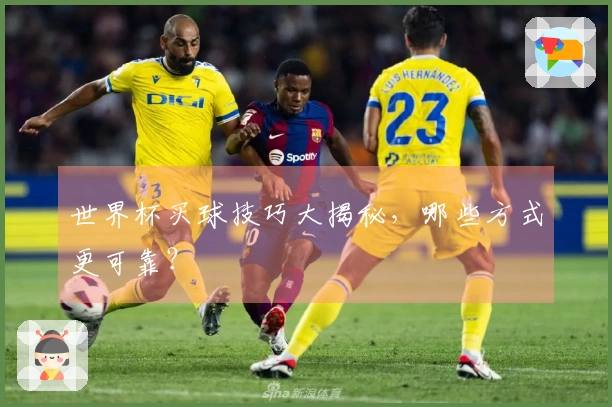 世界杯买球技巧大揭秘，哪些方式更可靠？