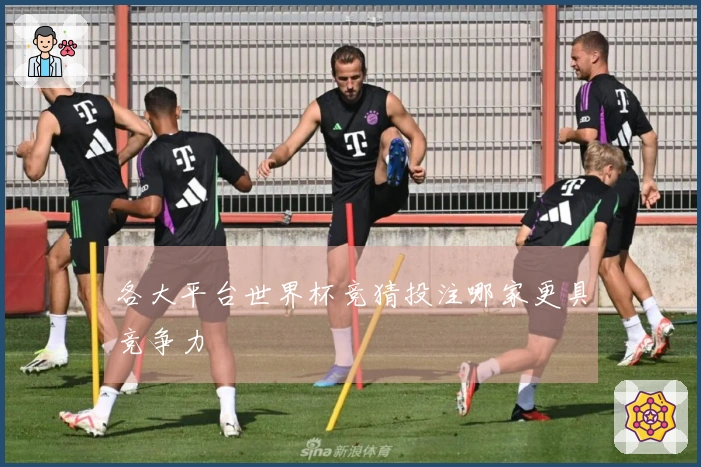 各大平台世界杯竞猜投注哪家更具竞争力