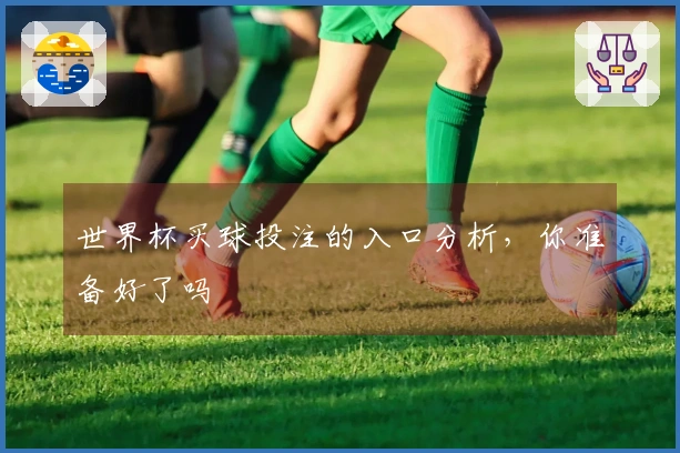 世界杯买球投注的入口分析，你准备好了吗