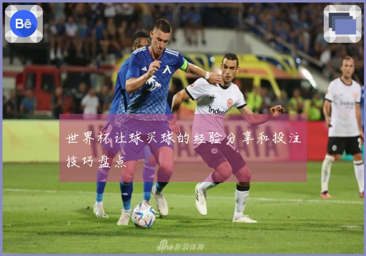 世界杯让球买球的经验分享和投注技巧盘点